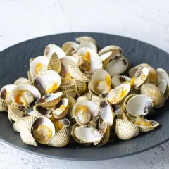 Un plato oscuro lleno de berberechos al vapor, listos para disfrutar.