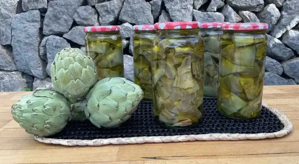Alcachofas frescas y en conserva, listas para deliciosas recetas con alcachofas de bote.
