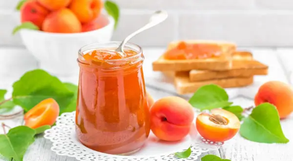 Tarro de mermelada de albaricoque casera, con tostadas y albaricoques frescos alrededor.