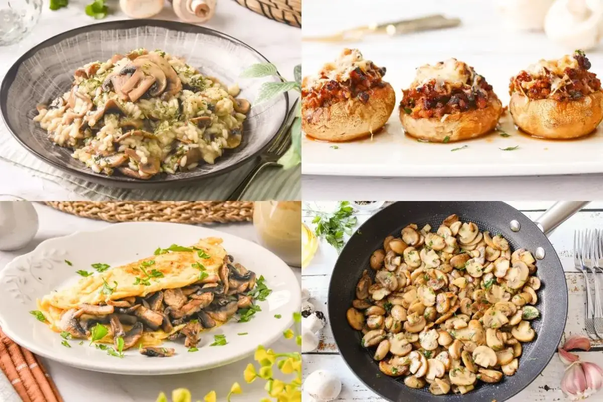 Collage de cuatro platos con champi&ntilde;ones: risotto, champi&ntilde;ones rellenos, tortilla y champi&ntilde;ones salteados. Ideas para recetas con champi&ntilde;ones laminados.